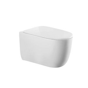 G-9009 挂便器