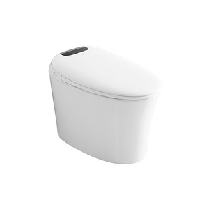S220/S220-1 智能坐便器