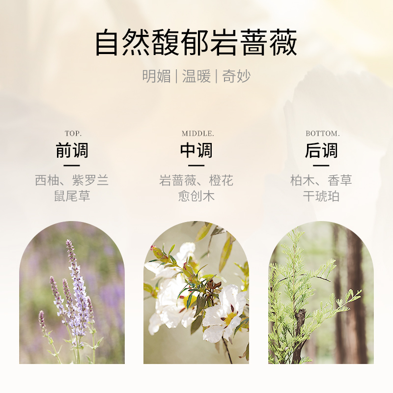 香鉴岩蔷薇沐洗护套装