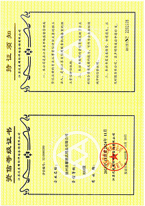 其他證書