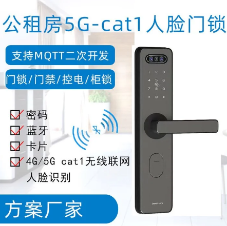 公租房5G cat1无线联网智能刷卡人脸识别门锁