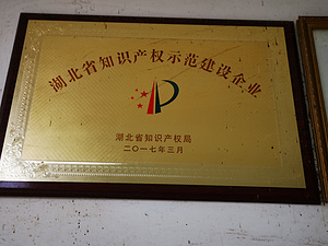 其他证书