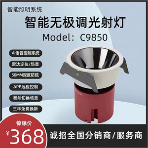 商业照明