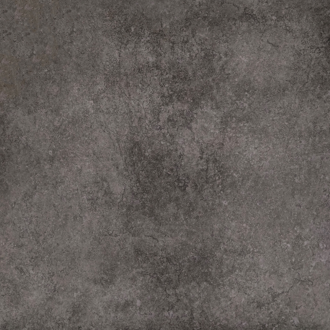 金狮王金砖系列JZP603