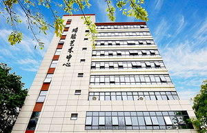 28年技术沉淀 沃酷艺术涂料打造环保与美感并存的墙饰新体验