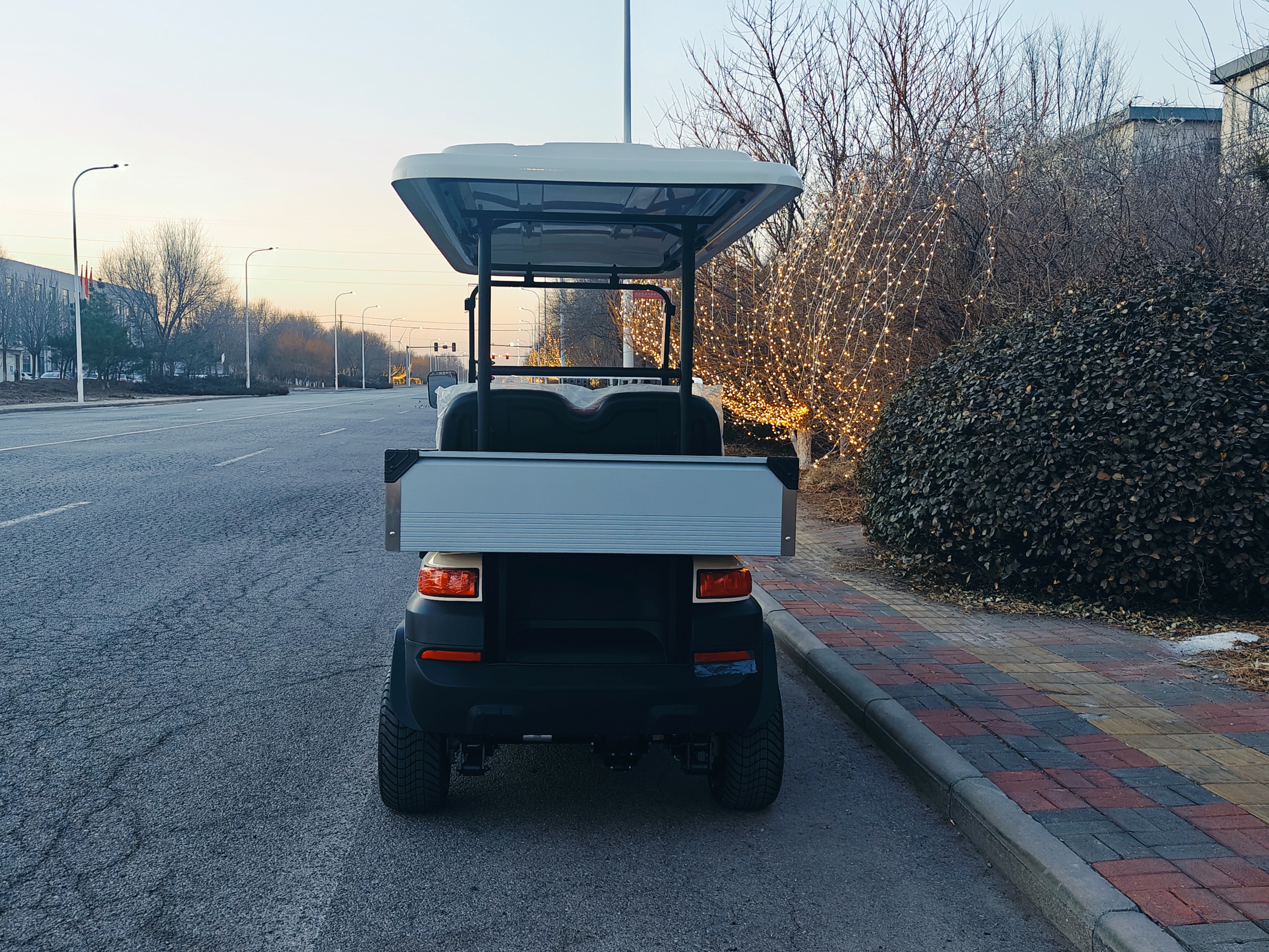 ZYCAR 4-seater electric golf cart with cargo hopper for passenger and cargo use Z4B