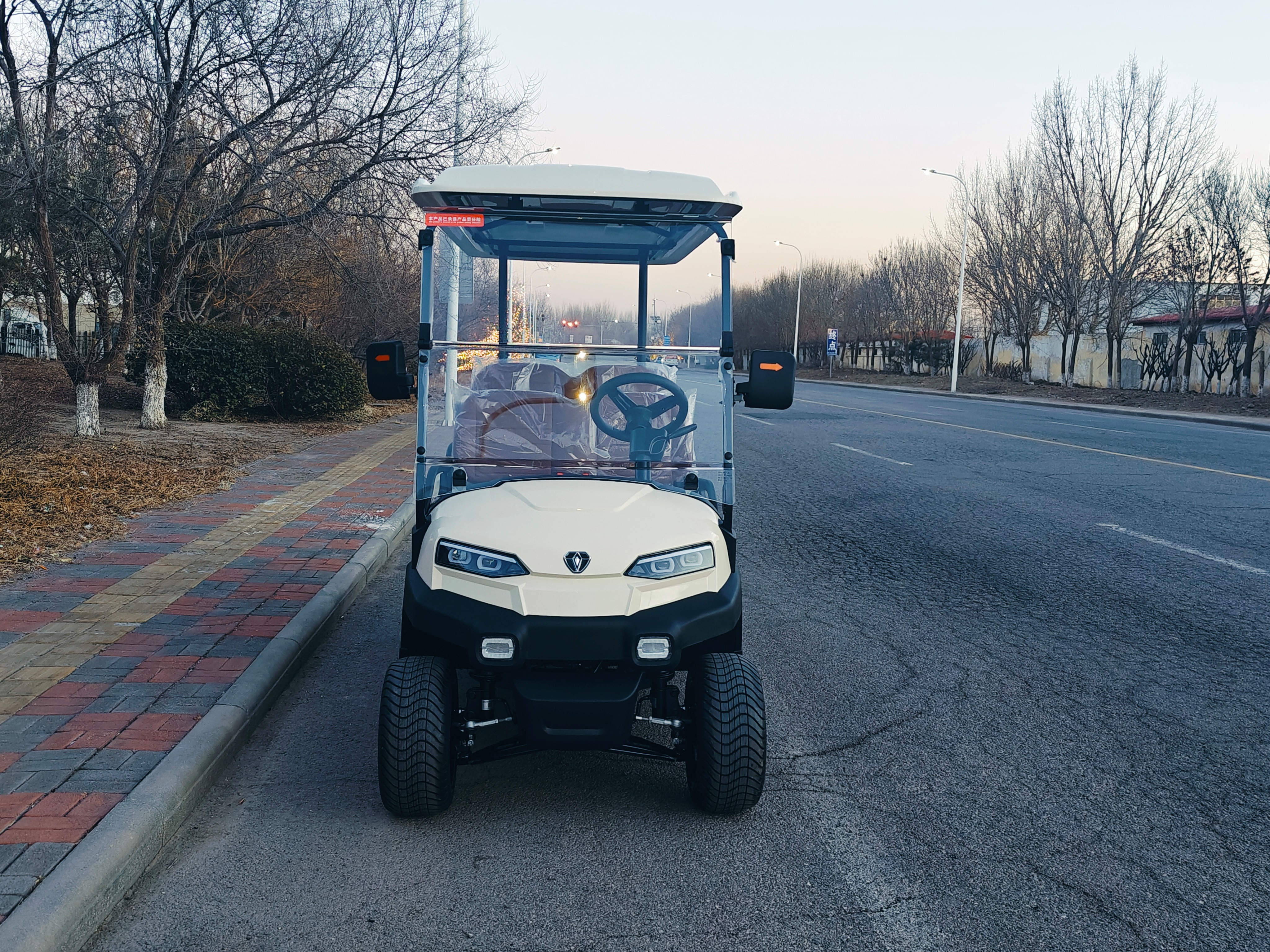 ZYCAR 4-seater electric golf cart with cargo hopper for passenger and cargo use Z4B