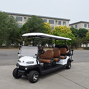 ZYCAR 8-seater electric golf cart with rear-facing seats Z6C