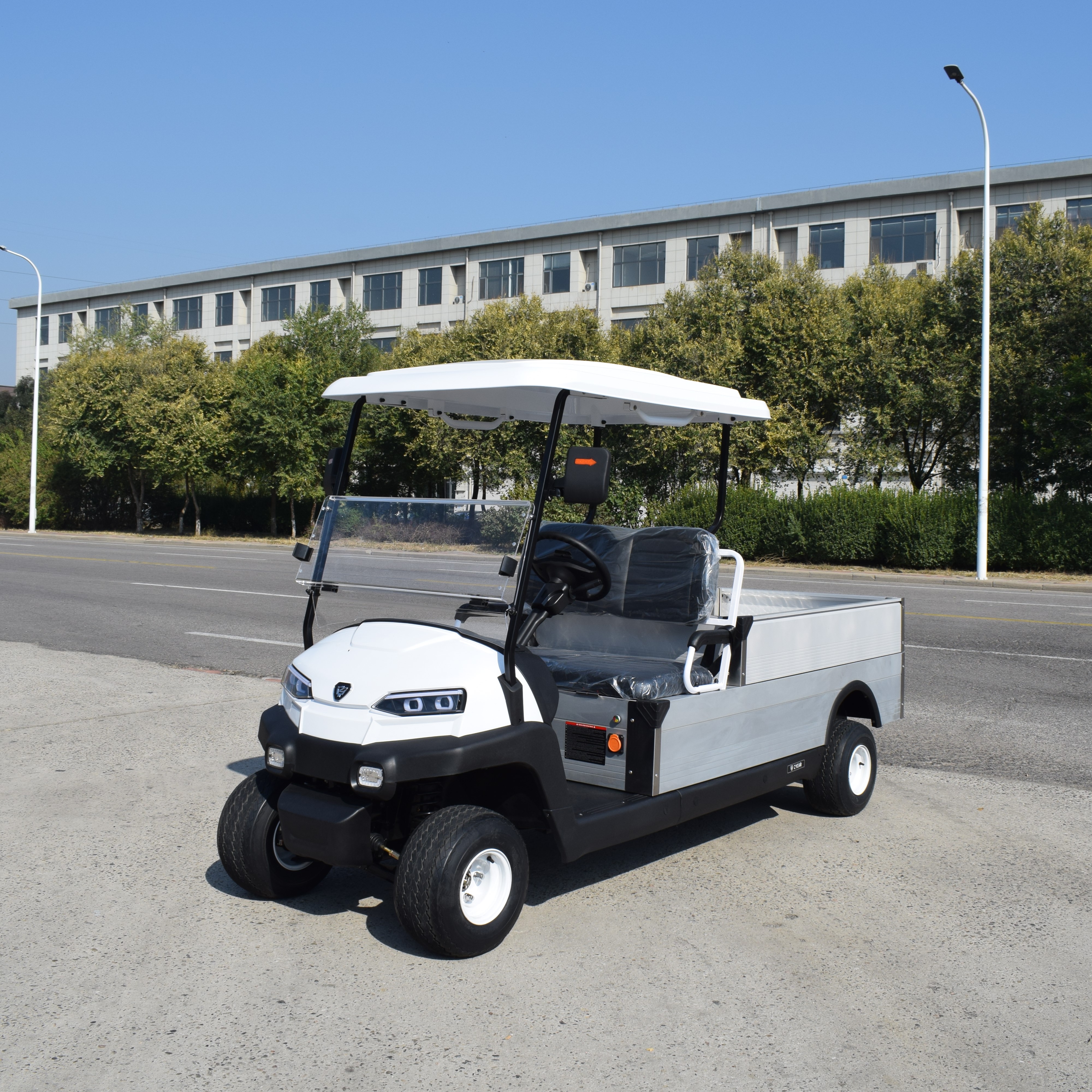 ZYCAR 2-seater electric golf cart with cargo bucket ZH05