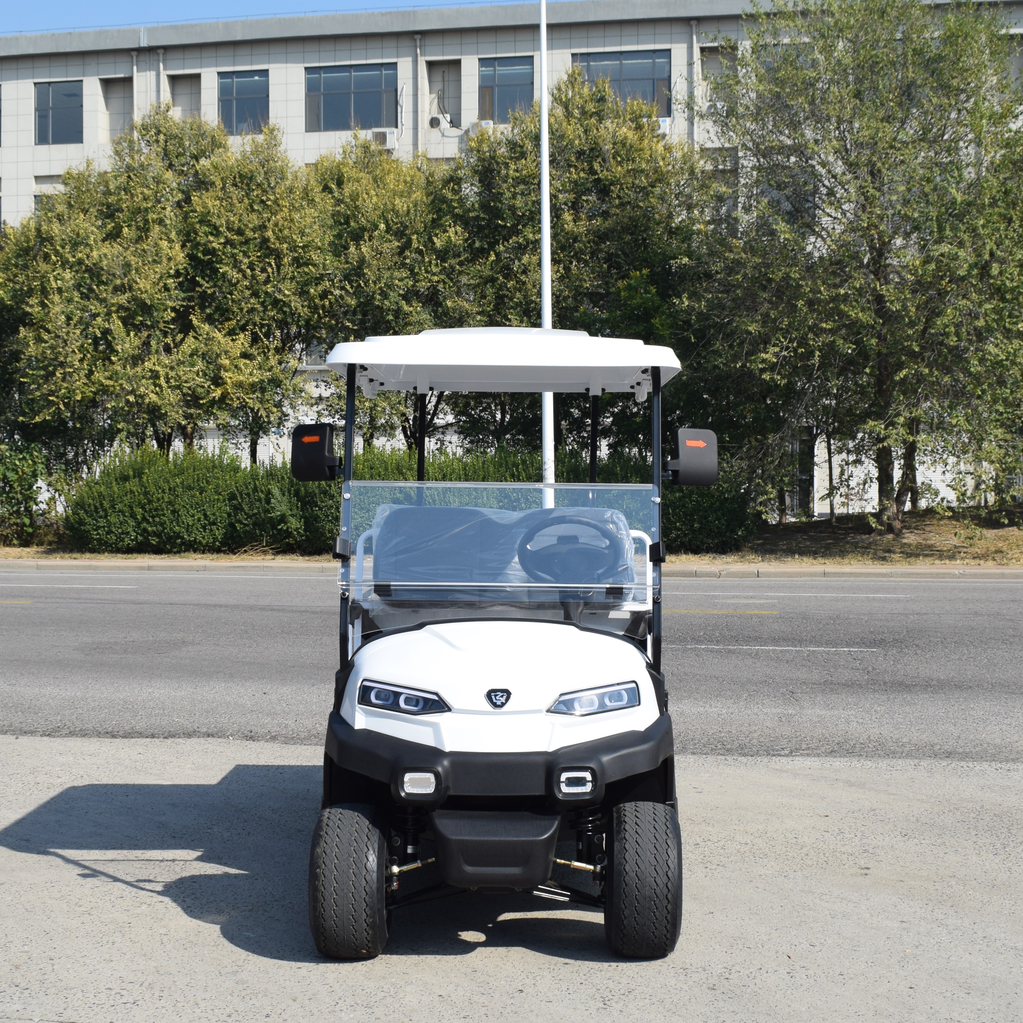 ZYCAR 2-seater electric golf cart with cargo bucket ZH05