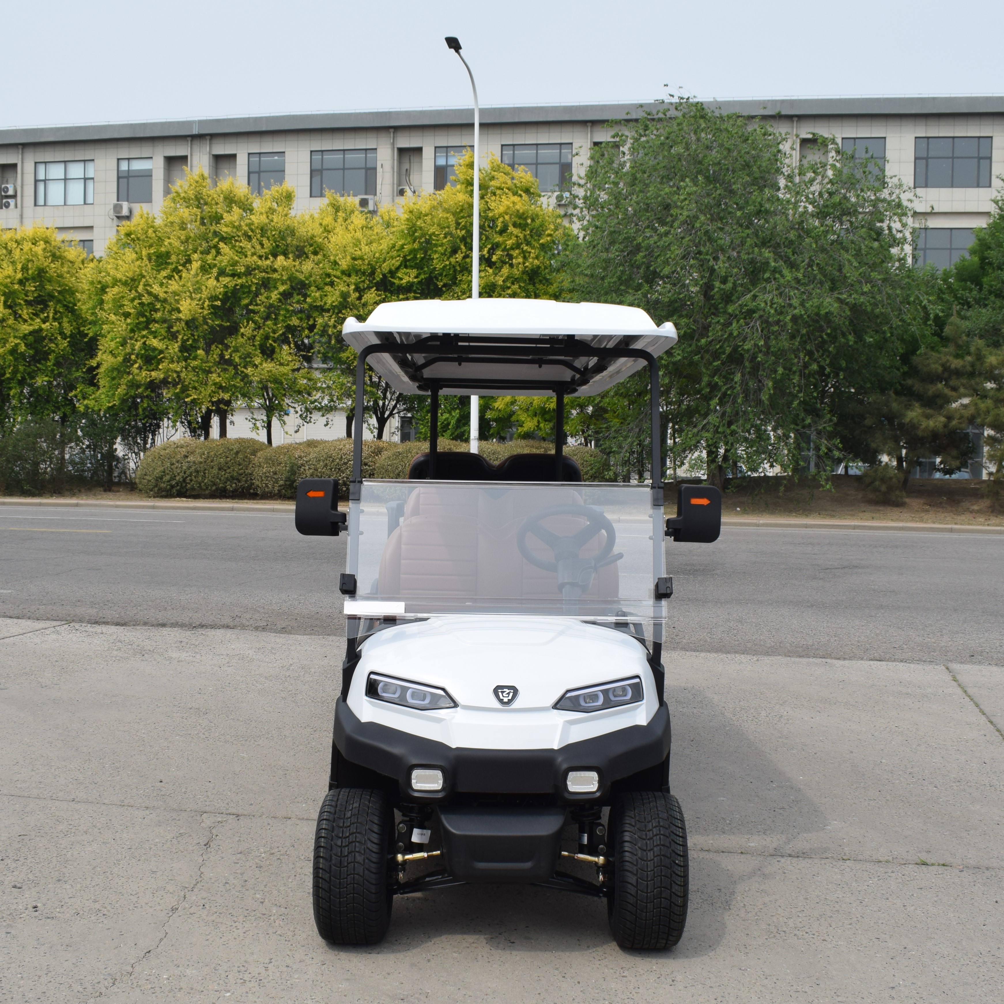 ZYCAR 8-seater electric golf cart with rear-facing seats Z6C