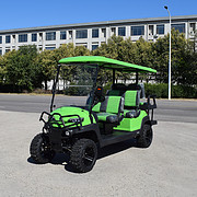 ZYCAR 6-seater electric golf cart with front and rear seats Z4C