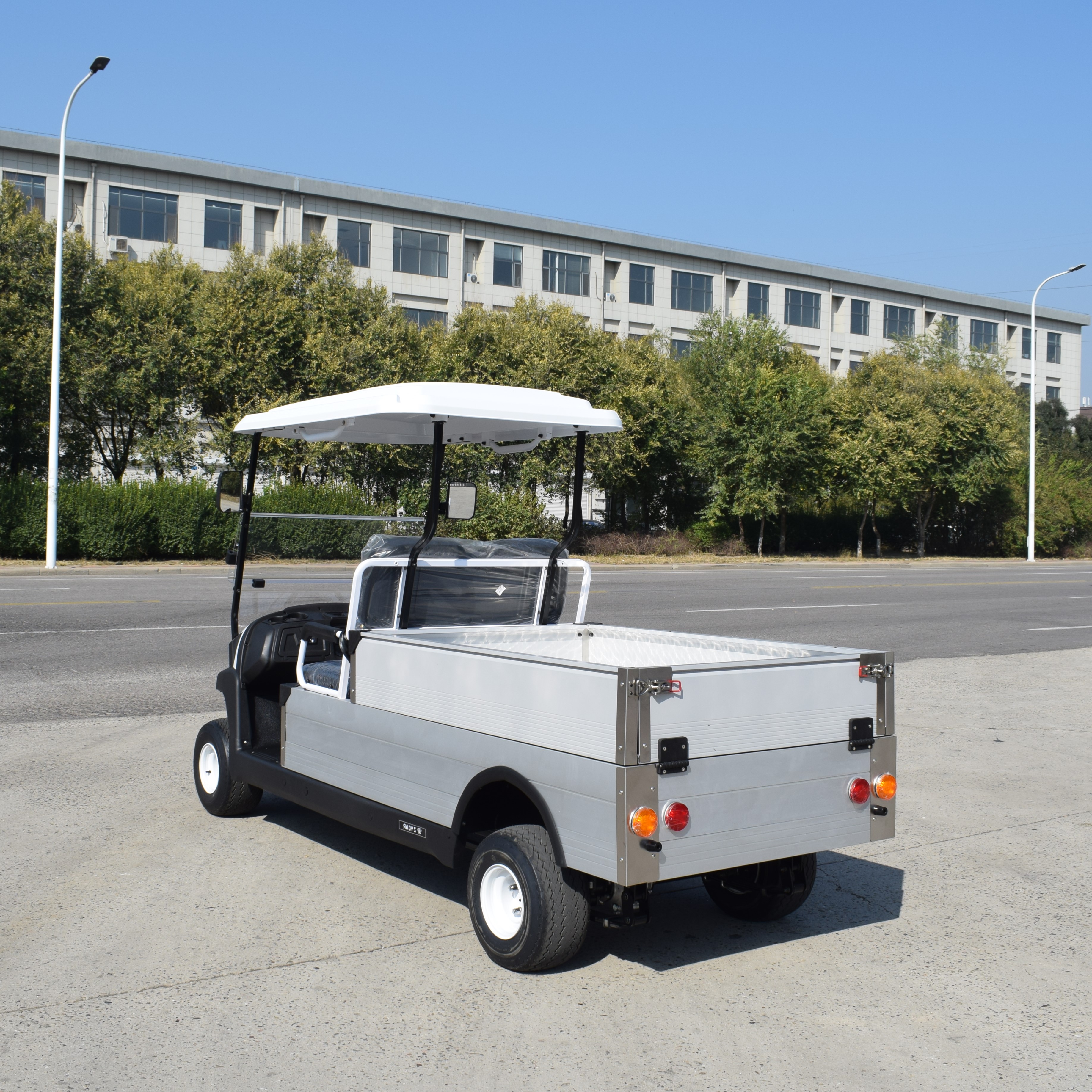 ZYCAR 2-seater electric golf cart with cargo bucket ZH05