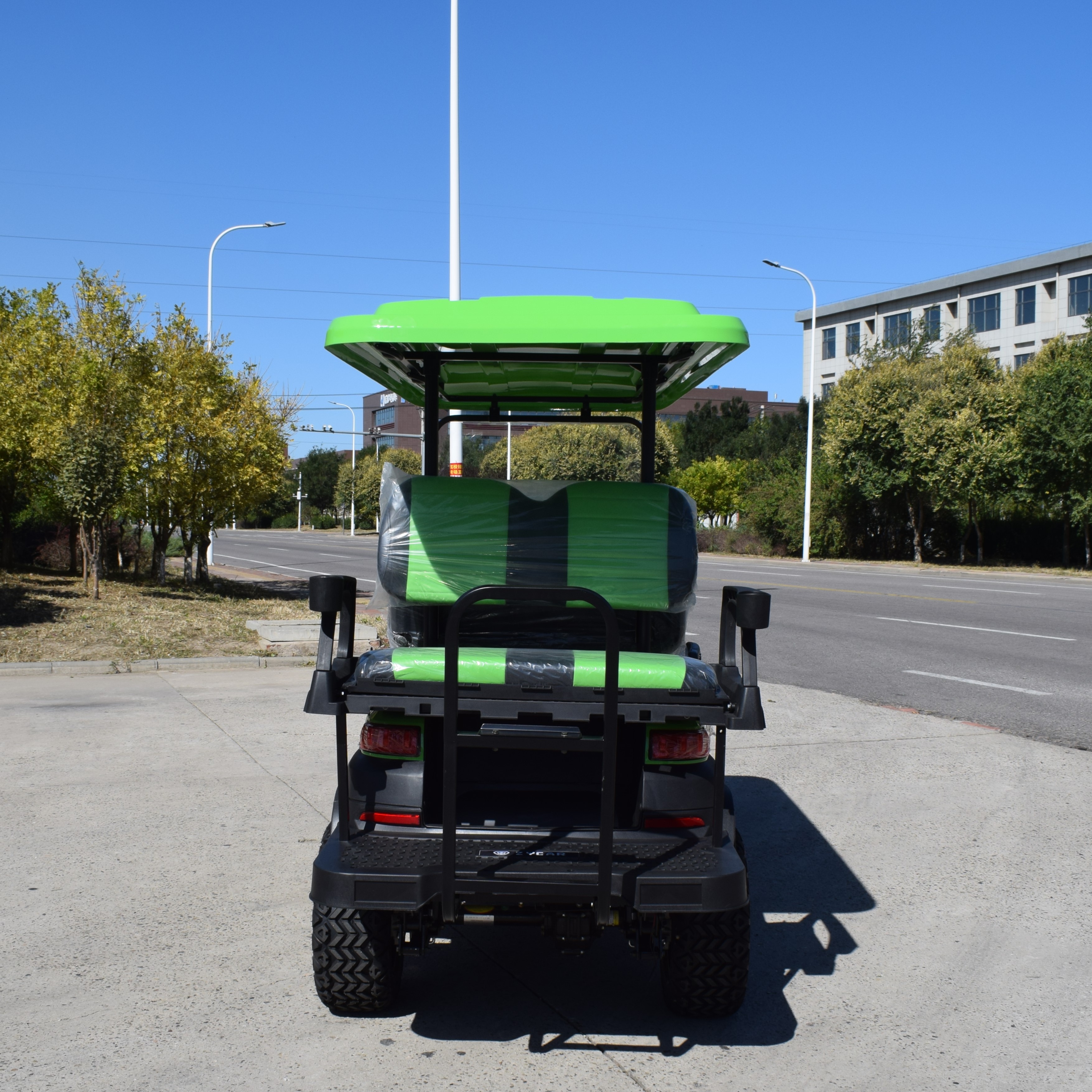 ZYCAR 6-seater electric golf cart with front and rear seats Z4C