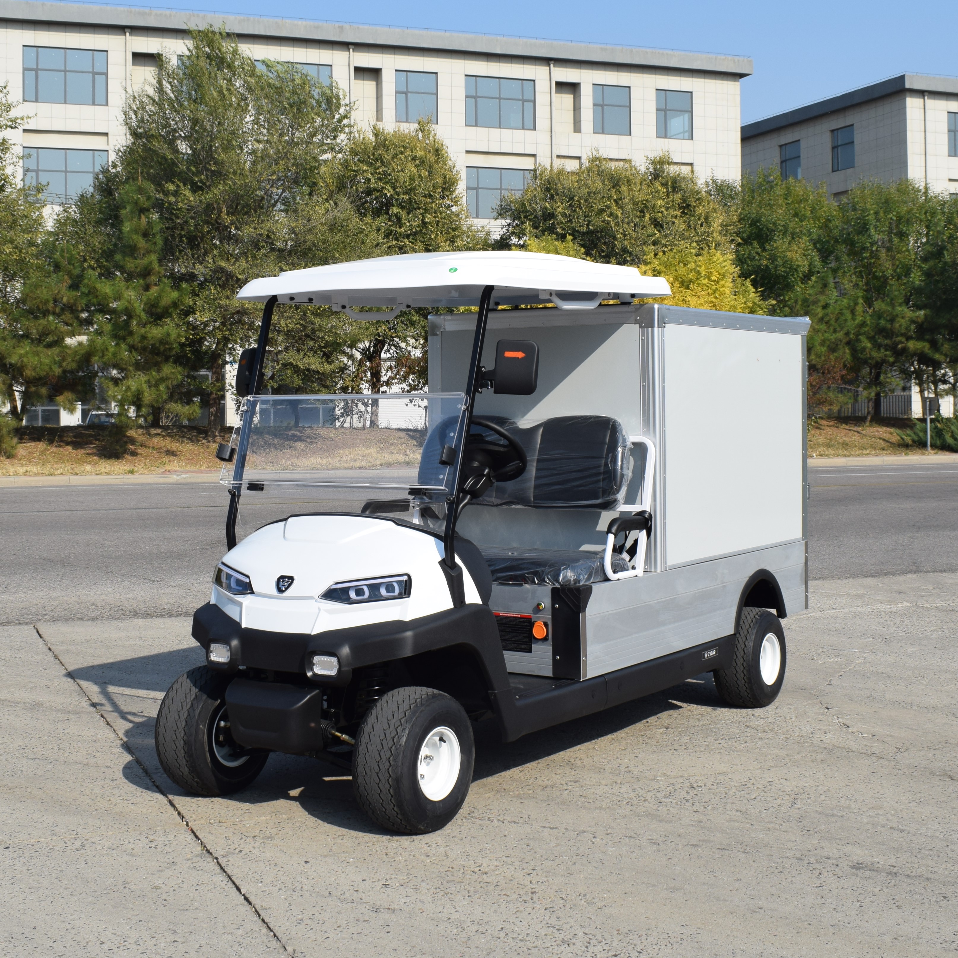 ZYCAR 2 seats half ton electric golf cart linen cart with cargo box model ZH05