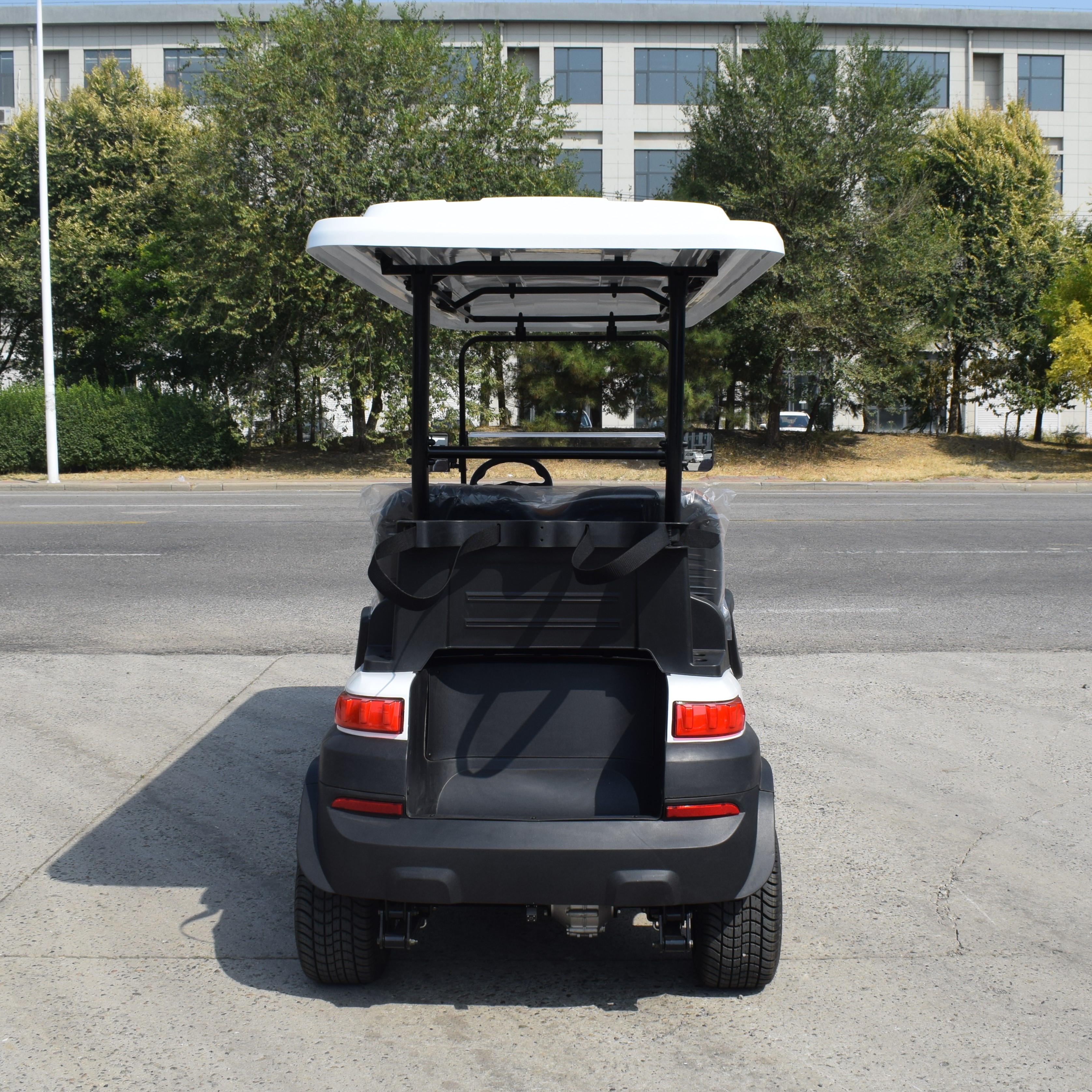 ZYCAR 6-seater electric golf cart Z6