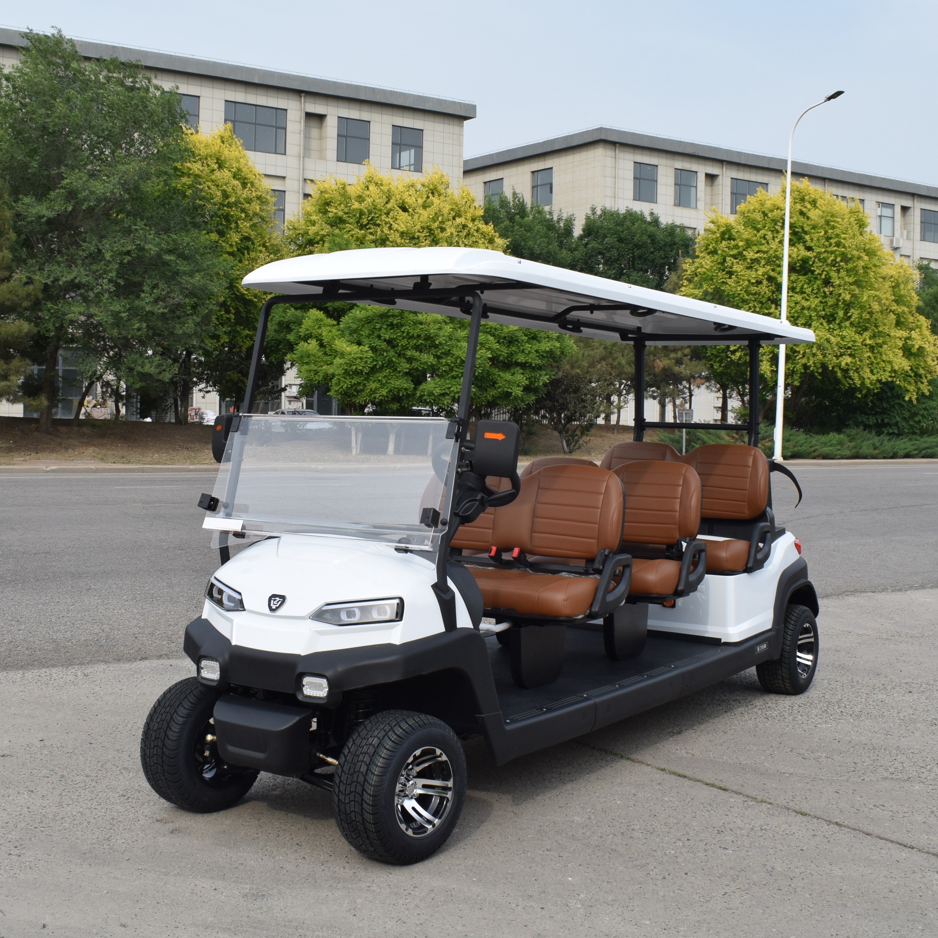 ZYCAR 6-seater electric golf cart Z6