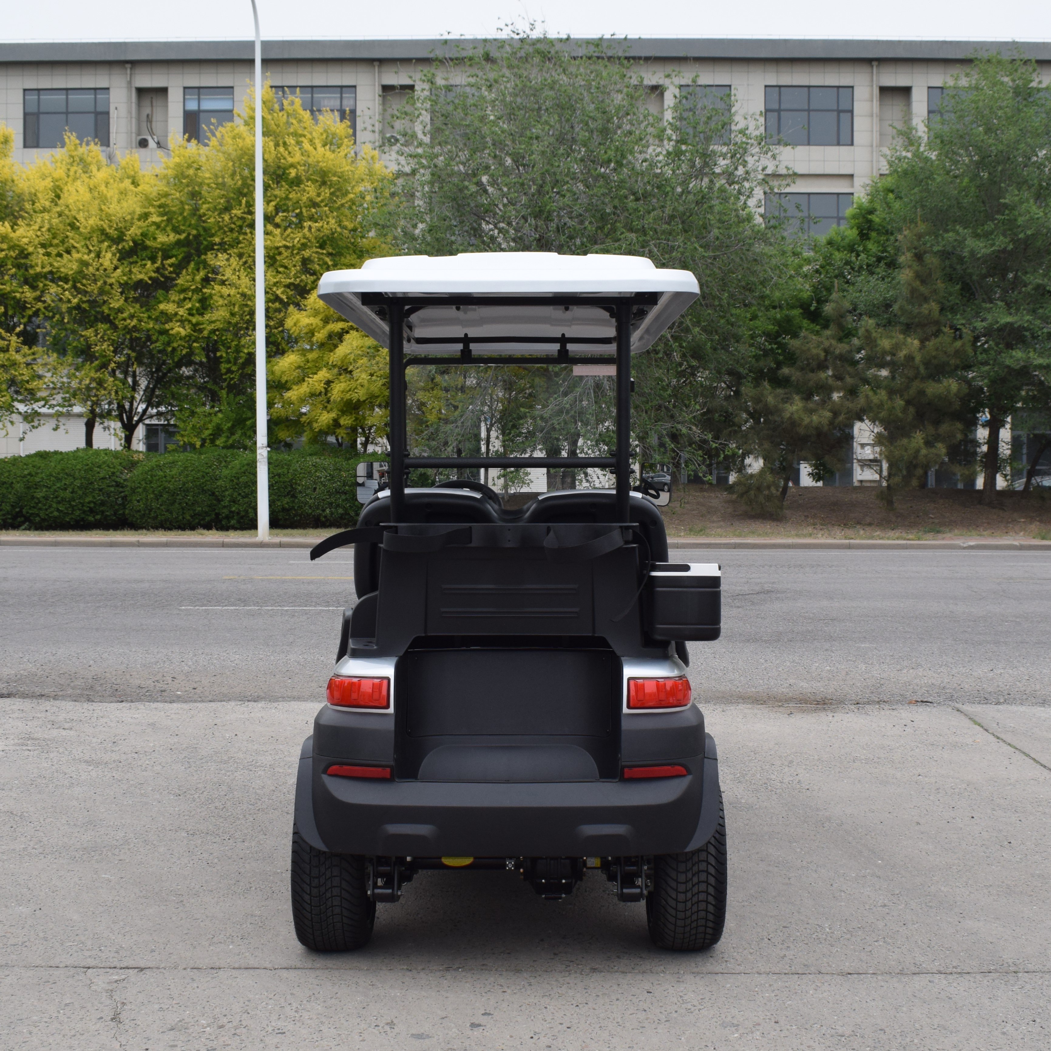 ZYCAR 4-seater electric golf cart Z4