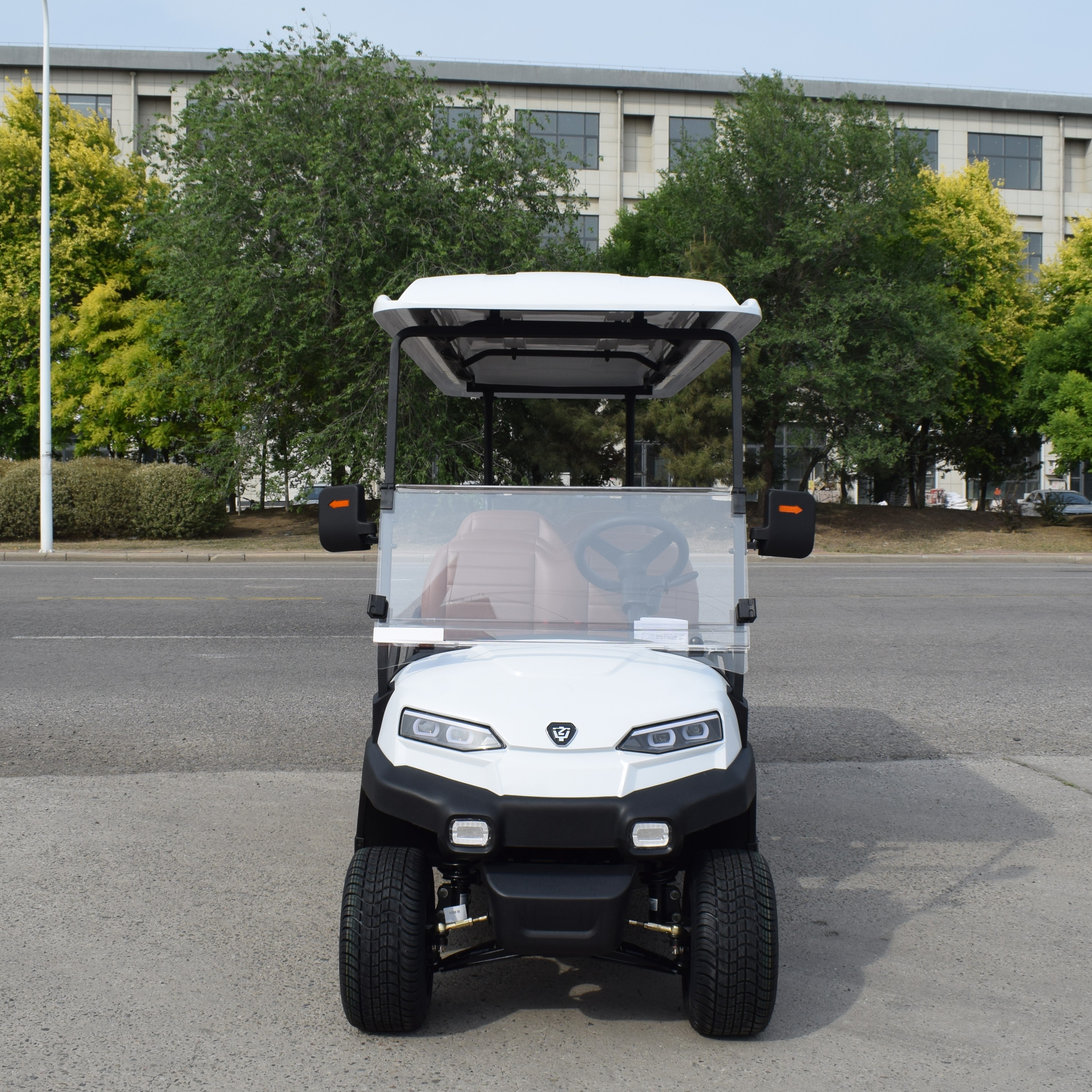 ZYCAR 6-seater electric golf cart Z6