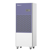 Architectural Decoration