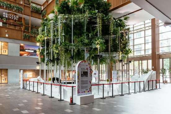 碳索森林创新空间