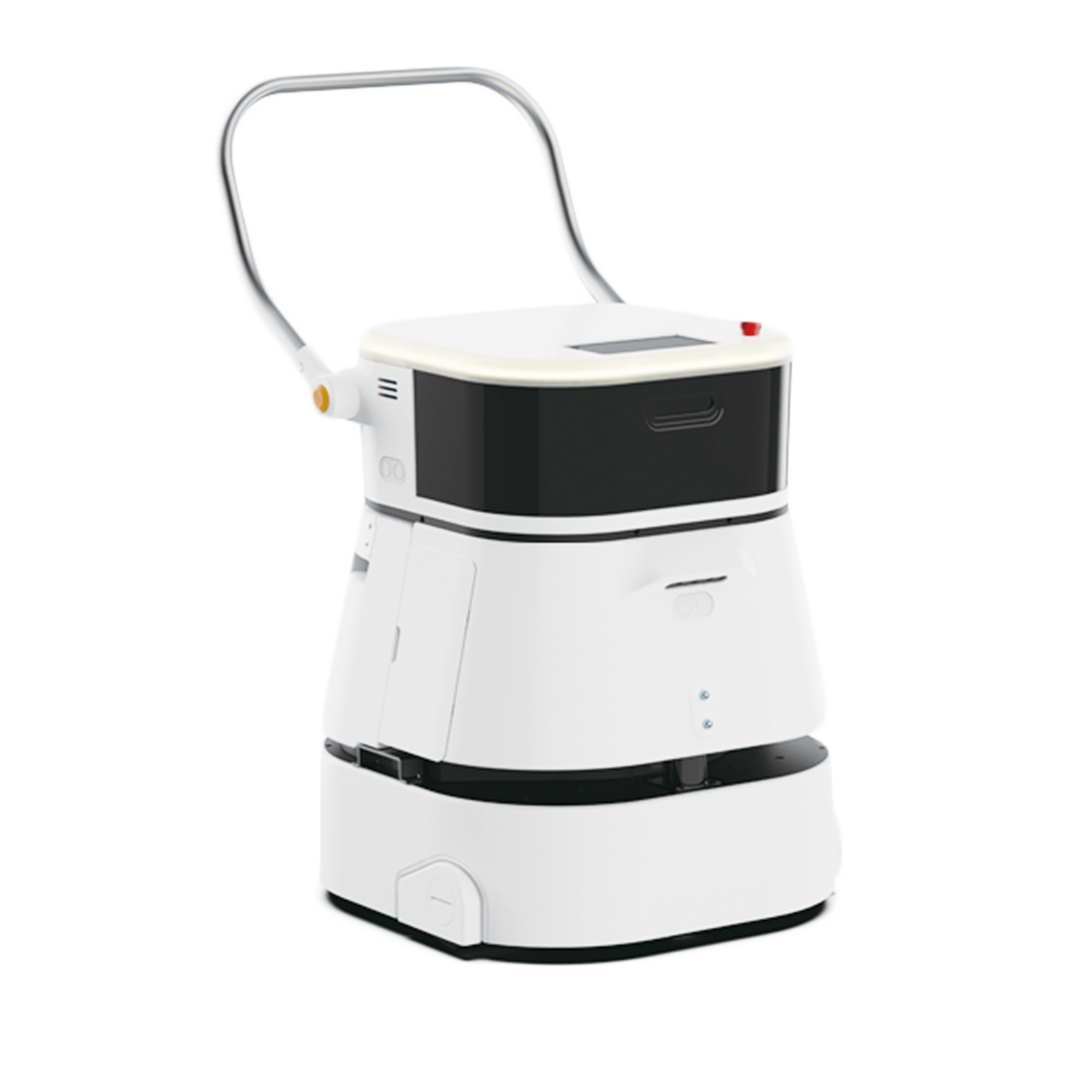 Cleaning Robot C10