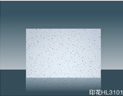 海龙印花HL 3101